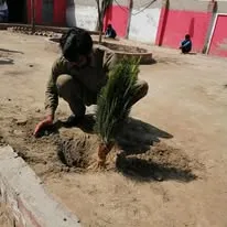 Green Seekers Activity